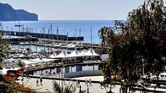 : Funchal Marina 1 | Funchal — Funchal, Madeira Island